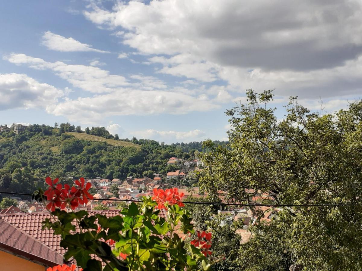 R-House Apartment Brasov Luaran gambar