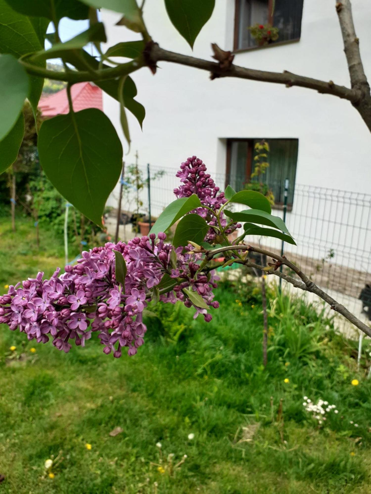 R-House Apartment Brasov Bilik gambar