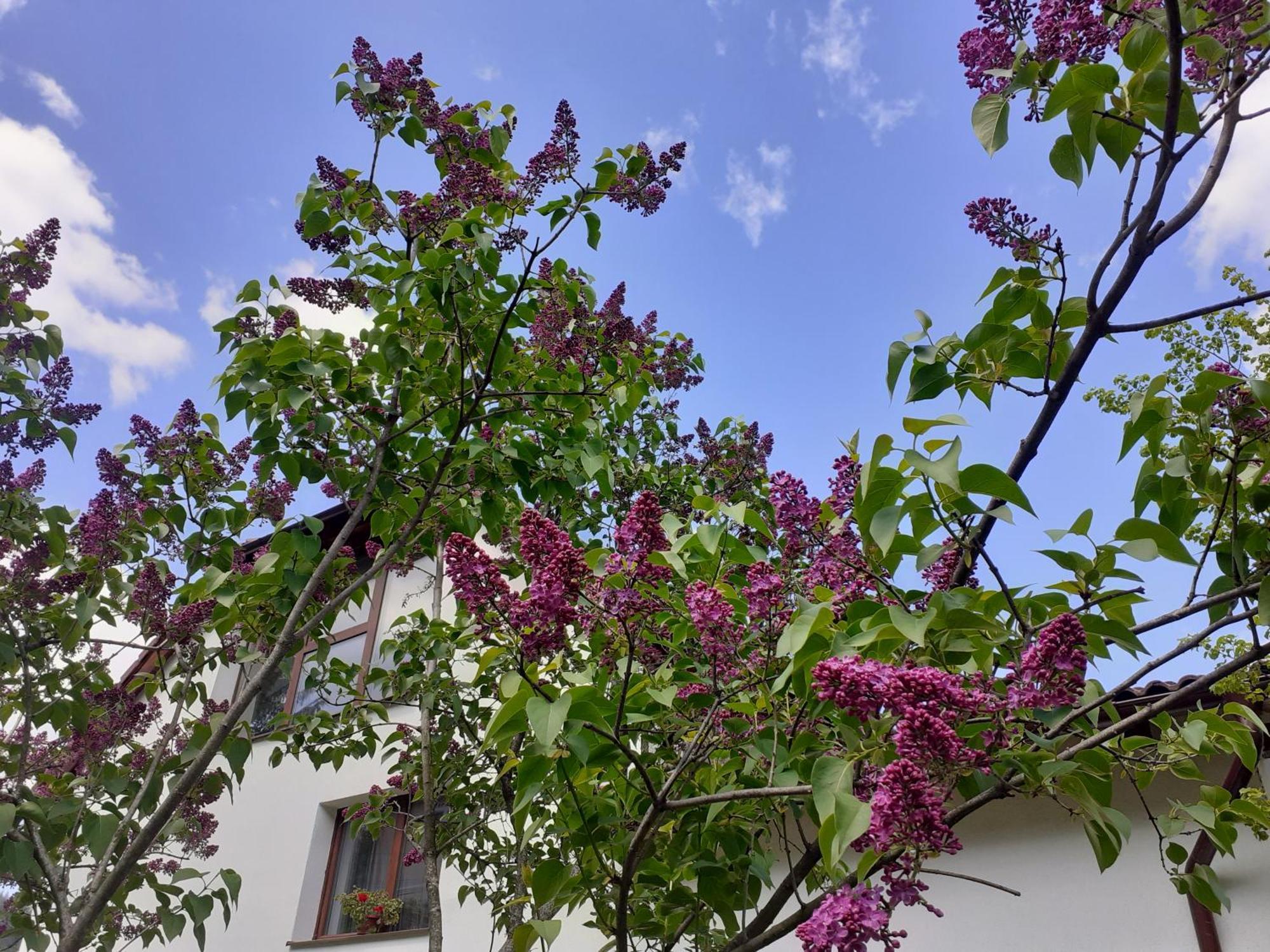 R-House Apartment Brasov Bilik gambar